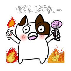 [LINEスタンプ] ねこ吉くん(=^x^=)