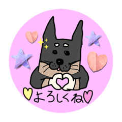 [LINEスタンプ] 柴ちゃんの日常 わんこ 柴犬