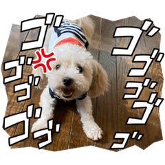 [LINEスタンプ] ♡れいくんスタンプ♡
