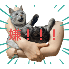 [LINEスタンプ] 世界一かわいいそらくん2022