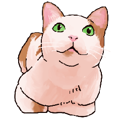 [LINEスタンプ] 友達ん家の猫ちゃん