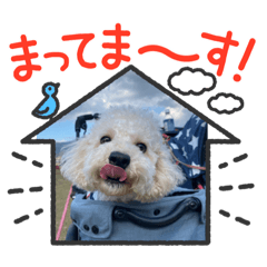 [LINEスタンプ] マルプーれまちゃん