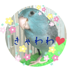[LINEスタンプ] マメルリハのリルちゃん7