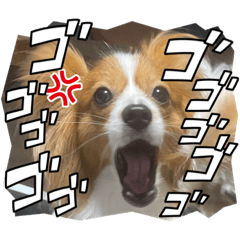[LINEスタンプ] 鈴、忍挨拶スタンプ