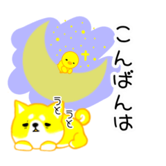 [LINEスタンプ] 毎日。かわいい。しば犬ぽこ。ぴよぽこ。