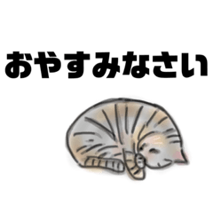 [LINEスタンプ] ねことねこ（REN＆NANA）