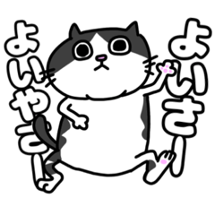 [LINEスタンプ] 方言猫(大牟田市)
