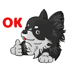 [LINEスタンプ] 愛犬チワワ擬人化スタンプ