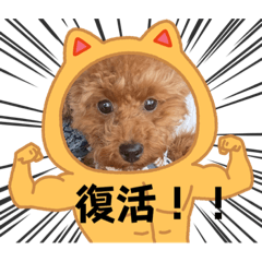 [LINEスタンプ] ☆Roo’s room②☆