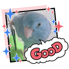 [LINEスタンプ] マメルリハのリル8