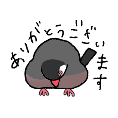 [LINEスタンプ] 敬語の桜文鳥