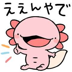 [LINEスタンプ] 関西弁まったりウーパールーパー [大阪府]