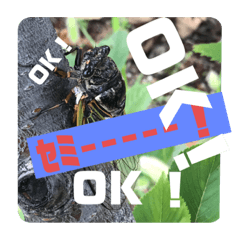 [LINEスタンプ] 公園の仲間達