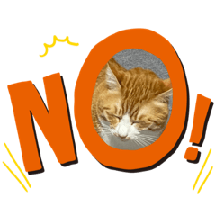 [LINEスタンプ] 茶トラ猫 ウルソ