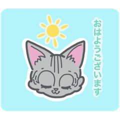 [LINEスタンプ] 敬語あいさつ（アメリカンショートヘア）