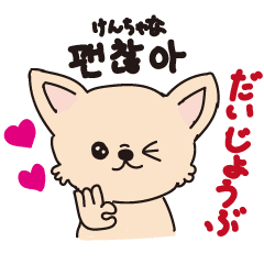 [LINEスタンプ] 動く可愛いチワワ 韓国語  치와와의 한국어