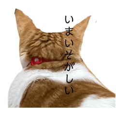 [LINEスタンプ] うちの あんず