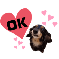 [LINEスタンプ] 愛犬ひなちゃん1