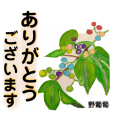 [LINEスタンプ] えいのえ