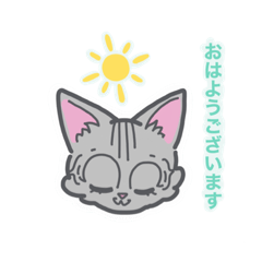 [LINEスタンプ] 敬語あいさつ（アメリカンショートヘア）3