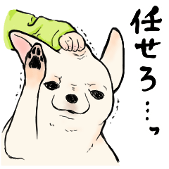 [LINEスタンプ] あそこんちのチワワ