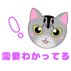 [LINEスタンプ] オタクなねこちゃん