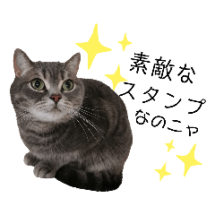 [LINEスタンプ] 猫のブルーくん