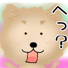 [LINEスタンプ] モコモコわんこの日常スタンプ