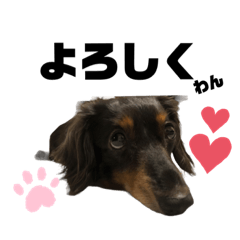 [LINEスタンプ] 愛犬ひなちゃん2