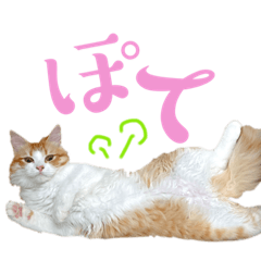 [LINEスタンプ] 鍵しっぽのアゲ。3