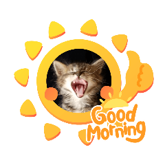 [LINEスタンプ] 子猫のほっこりあいさつスタンプ