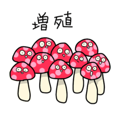 [LINEスタンプ] きのこ祭り開催中