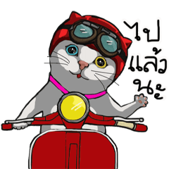 [LINEスタンプ] 小さな猫悟空