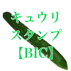 [LINEスタンプ] キュウリの写真スタンプ【BIC】