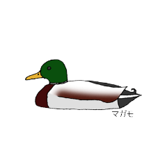 [LINEスタンプ] 日本産カモ科鳥類①