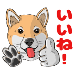 [LINEスタンプ] 柴犬の擬人化スタンプ