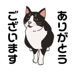 [LINEスタンプ] ハチワレたち