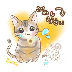 [LINEスタンプ] ラニ♡ロア♡ルクとお友にゃち❤️その壱