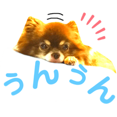 [LINEスタンプ] チョコちゃんスタンプ♡*(相槌・お返事編)