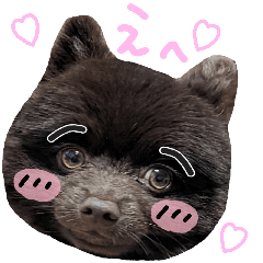[LINEスタンプ] チョコポメとおともだち