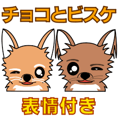 [LINEスタンプ] チワワ姉妹「チョコとビスケ」の言葉付き