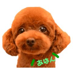 [LINEスタンプ] オデだよ！