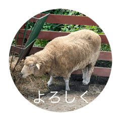 [LINEスタンプ] 北海道・円山の動物たち