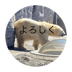 [LINEスタンプ] 旭山の動物スタンプ1