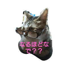 [LINEスタンプ] 変なネコチャン