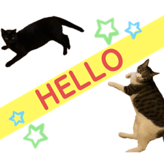 [LINEスタンプ] ミリンとラック時々ワンタン