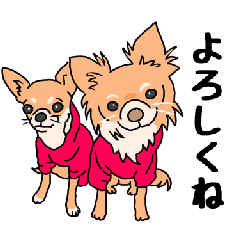 [LINEスタンプ] 友達の家の犬の友達