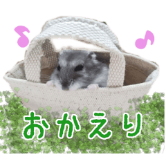 [LINEスタンプ] ☆ウメマメ☆スタンプ