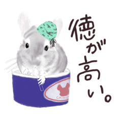 [LINEスタンプ] おいしくてかわいいチンチラ