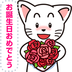 [LINEスタンプ] ひょうきんでお茶目な白猫、名前はウリ坊！